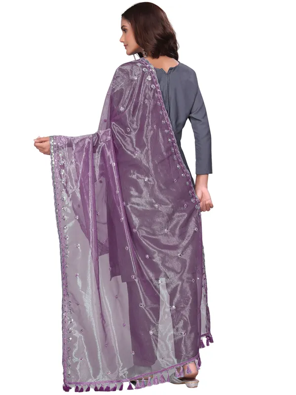 Mirror_Work_Organza_Dupatta_With_Sequin_Border_Tassels_Onion_Pink