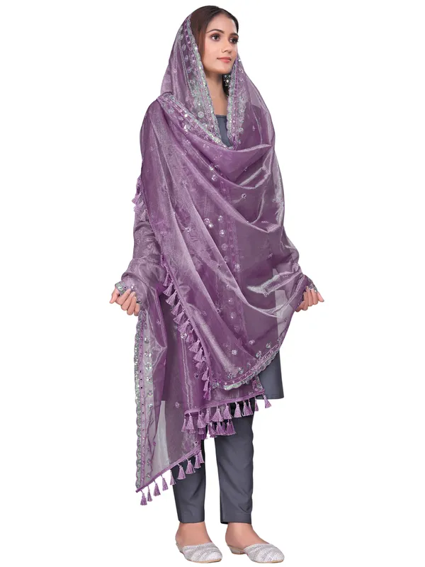Mirror_Work_Organza_Dupatta_With_Sequin_Border_Tassels_Onion_Pink