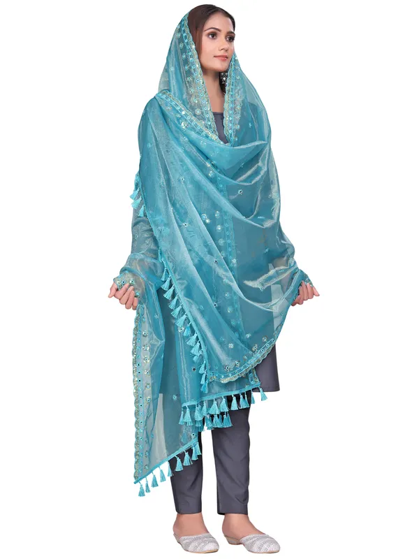 Mirror_Work_Organza_Dupatta_With_Sequin_Border_Tassels_Sky_Blue