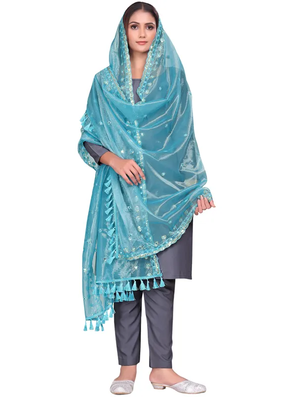 Mirror_Work_Organza_Dupatta_With_Sequin_Border_Tassels_Sky_Blue