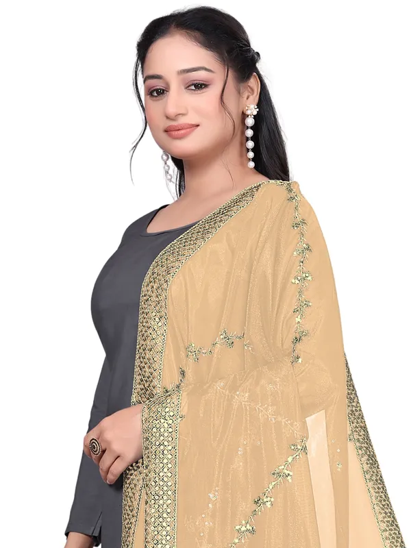 Zari_Embroidered_Organza_Dupatta_With_Sequin_Lace_Border_Beige