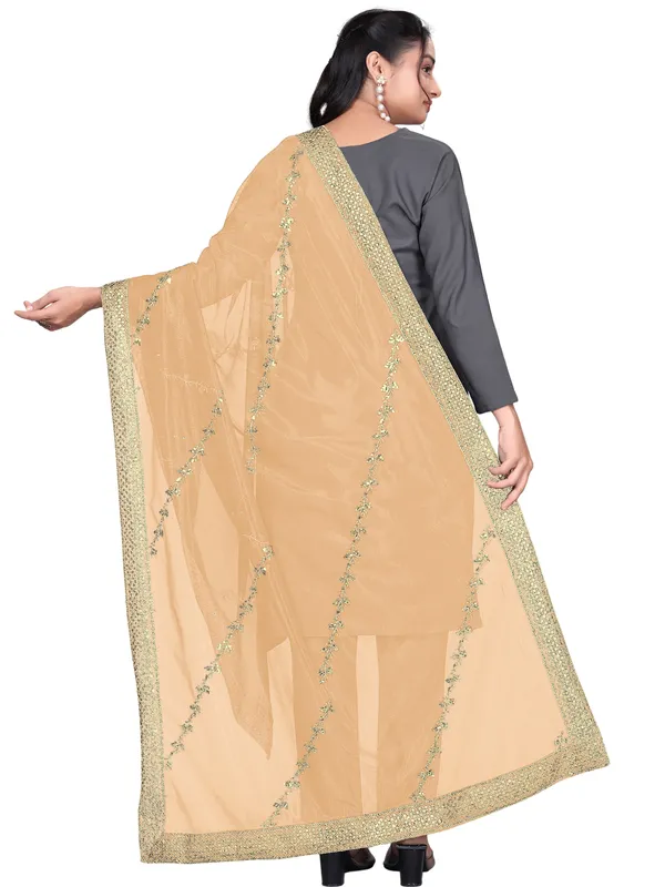 Zari_Embroidered_Organza_Dupatta_With_Sequin_Lace_Border_Beige