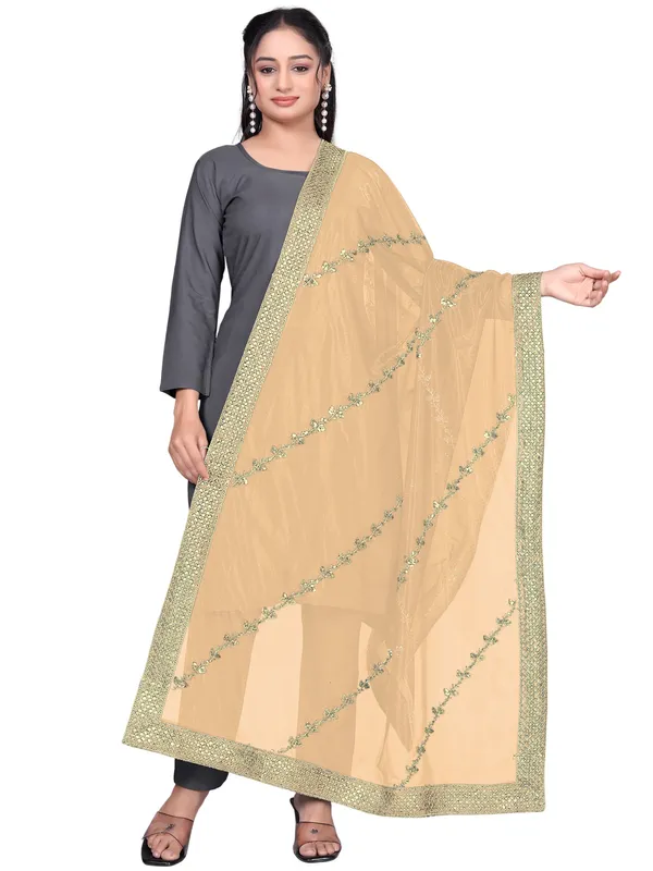 Zari_Embroidered_Organza_Dupatta_With_Sequin_Lace_Border_Beige