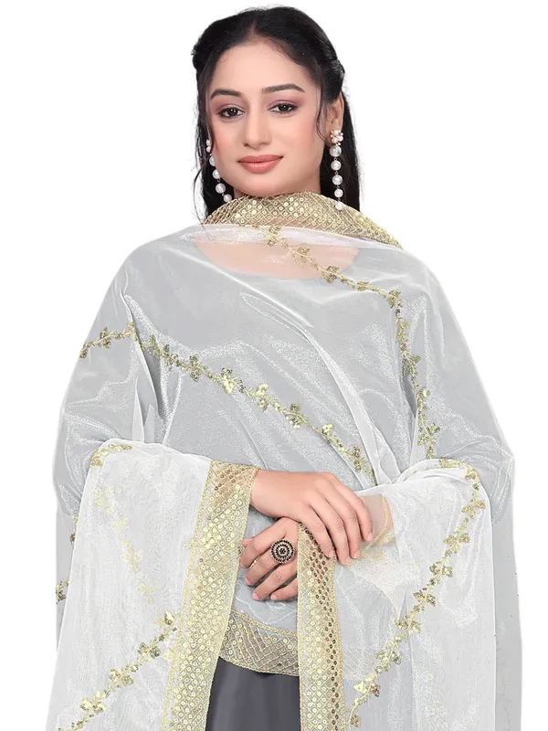 Zari_Embroidered_Organza_Dupatta_With_Sequin_Lace_Border_White
