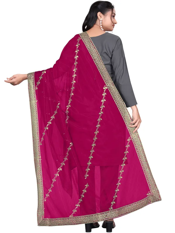 Zari_Embroidered_Organza_Dupatta_With_Sequin_Lace_Border_Pink