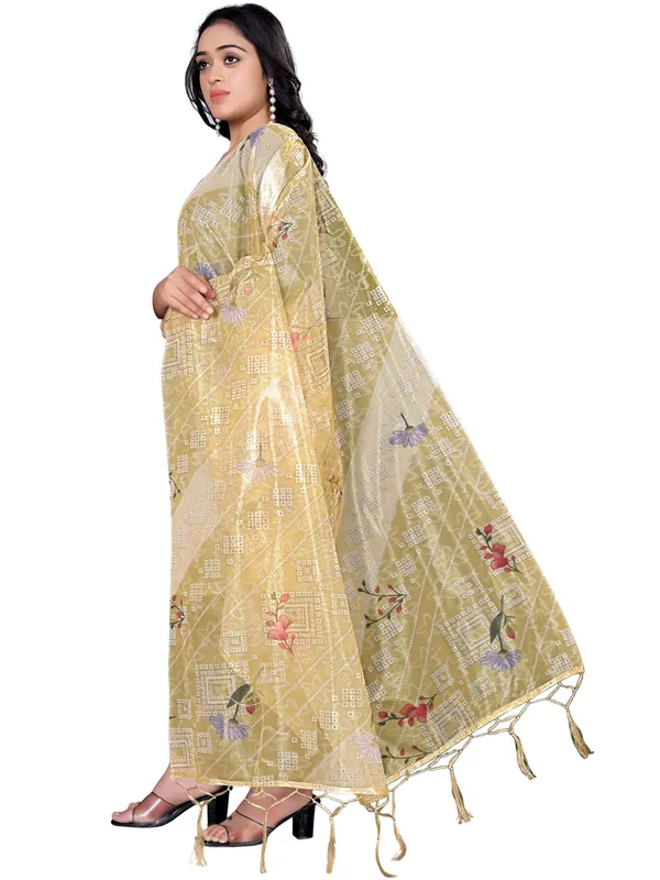 Organza_Dupatta_For_Women_Floral_Digital_Print_With_Tassels_Lime
