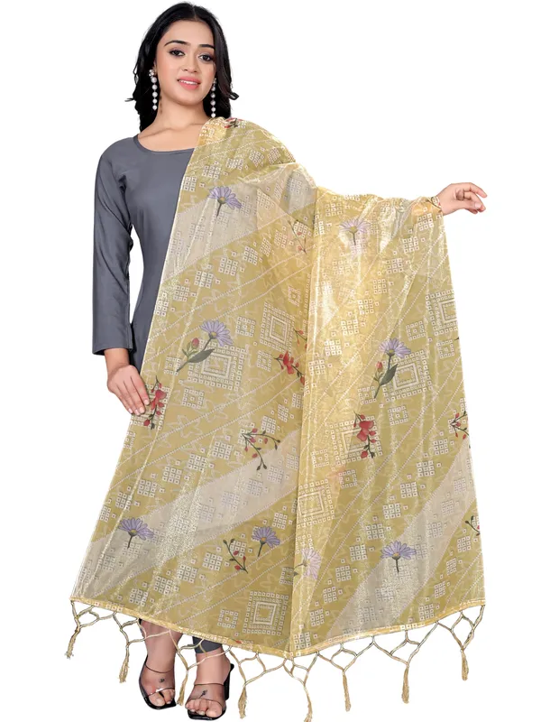 Organza_Dupatta_For_Women_Floral_Digital_Print_With_Tassels_Lime