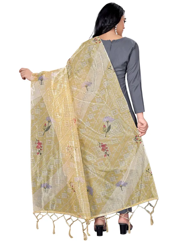 Organza_Dupatta_For_Women_Floral_Digital_Print_With_Tassels_Lime