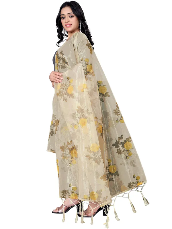 Organza_Dupatta_For_Women_Floral_Digital_Print_With_Tassels_Beige