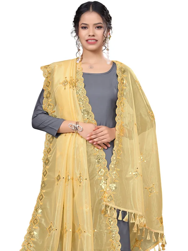 Organza_Embroidered_Dupatta_With_Sequins_Mirror_Work_Tassels_Beige