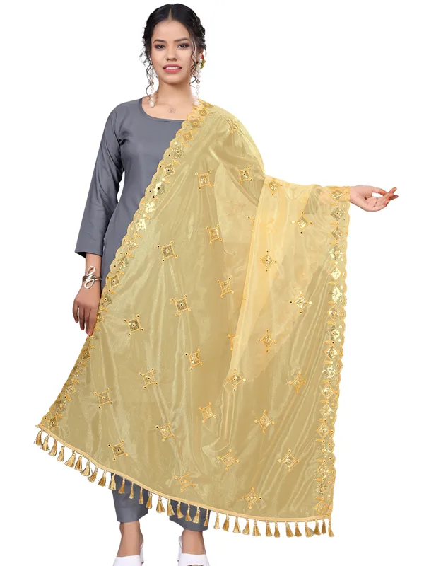 Organza_Embroidered_Dupatta_With_Sequins_Mirror_Work_Tassels_Beige