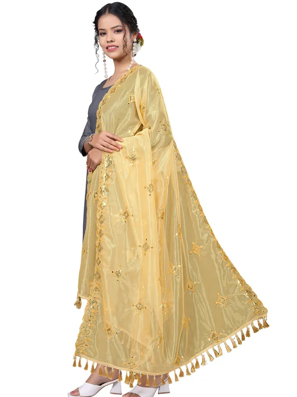 Organza_Embroidered_Dupatta_With_Sequins_Mirror_Work_Tassels_Beige