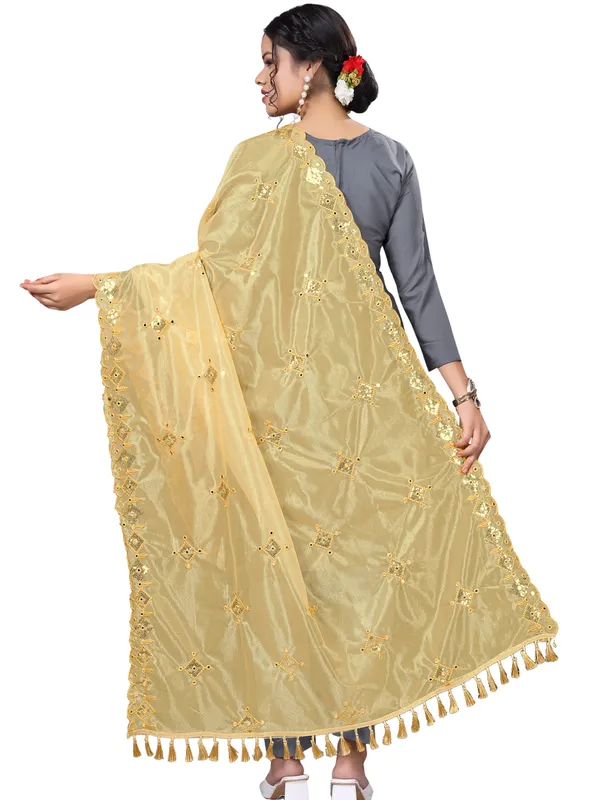 Organza_Embroidered_Dupatta_With_Sequins_Mirror_Work_Tassels_Beige