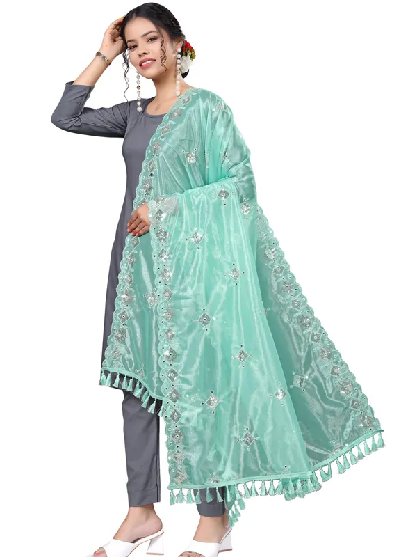 Organza_Embroidered_Dupatta_With_Sequins_Mirror_Work_Tassels_Sky_Blue
