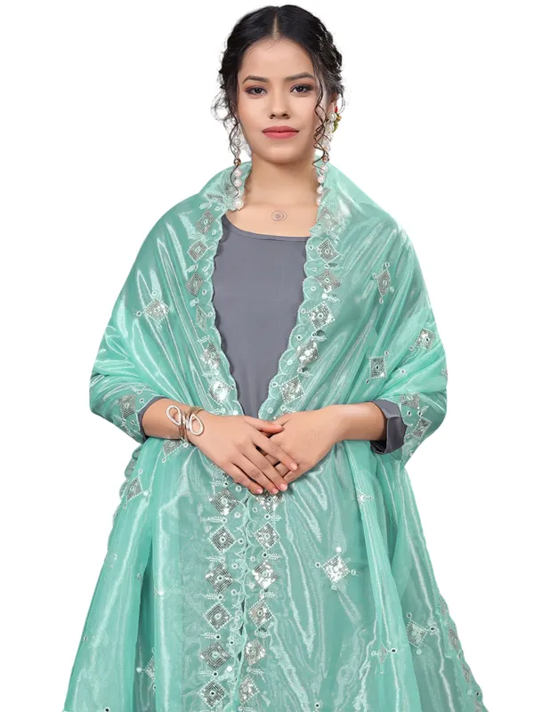 Organza_Embroidered_Dupatta_With_Sequins_Mirror_Work_Tassels_Sky_Blue
