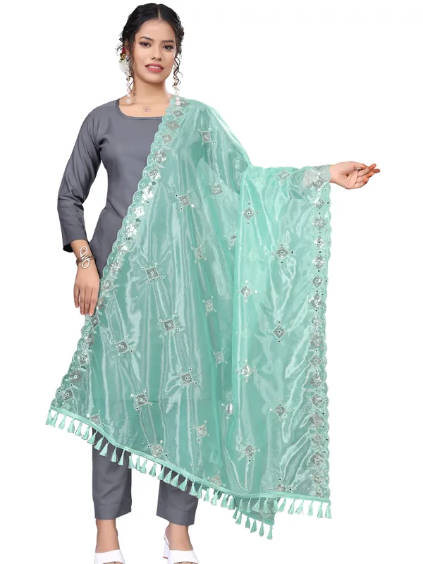 Organza_Embroidered_Dupatta_With_Sequins_Mirror_Work_Tassels_Sky_Blue