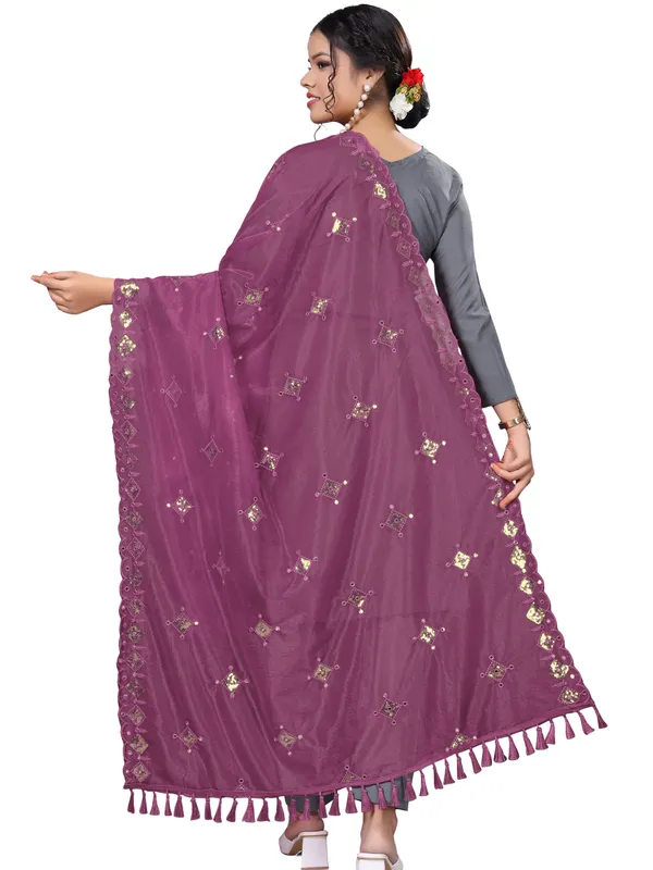 Organza_Embroidered_Dupatta_With_Sequins_Mirror_Work_Tassels_Pink