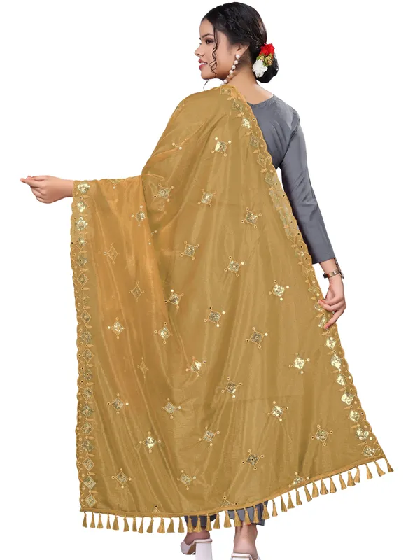 Organza_Embroidered_Dupatta_With_Sequins_Mirror_Work_Tassels_Mustard_Yellow