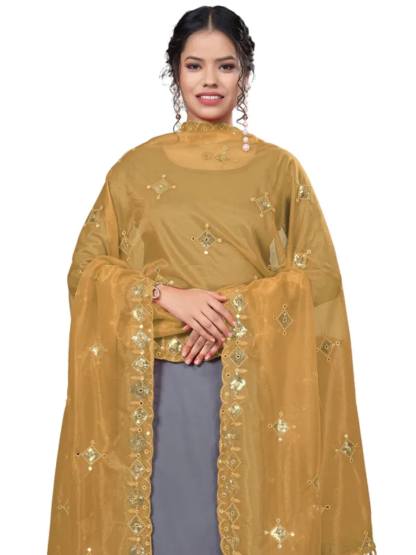 Organza_Embroidered_Dupatta_With_Sequins_Mirror_Work_Tassels_Mustard_Yellow