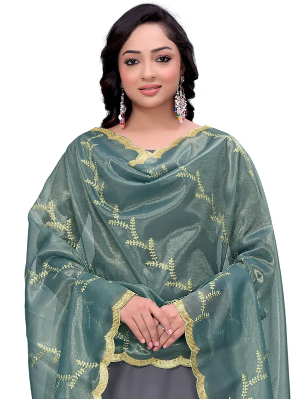 Organza_Embroidered_Dupatta_With_Sequin_Work_Scalloped_Border_Sky_Blue