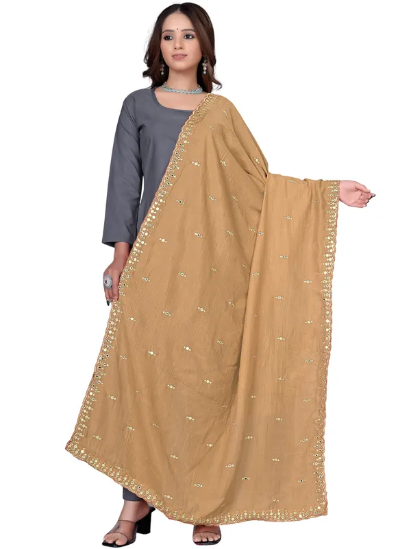 Vichitra_Art_Silk_Embroidered_Dupatta_With_Mirror_Work_Border_Beige