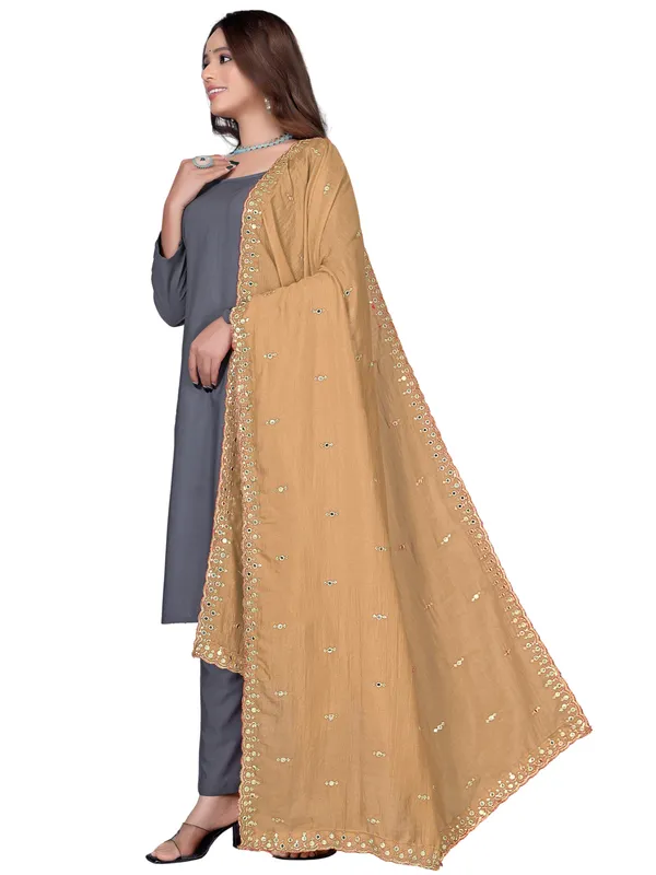 Vichitra_Art_Silk_Embroidered_Dupatta_With_Mirror_Work_Border_Beige