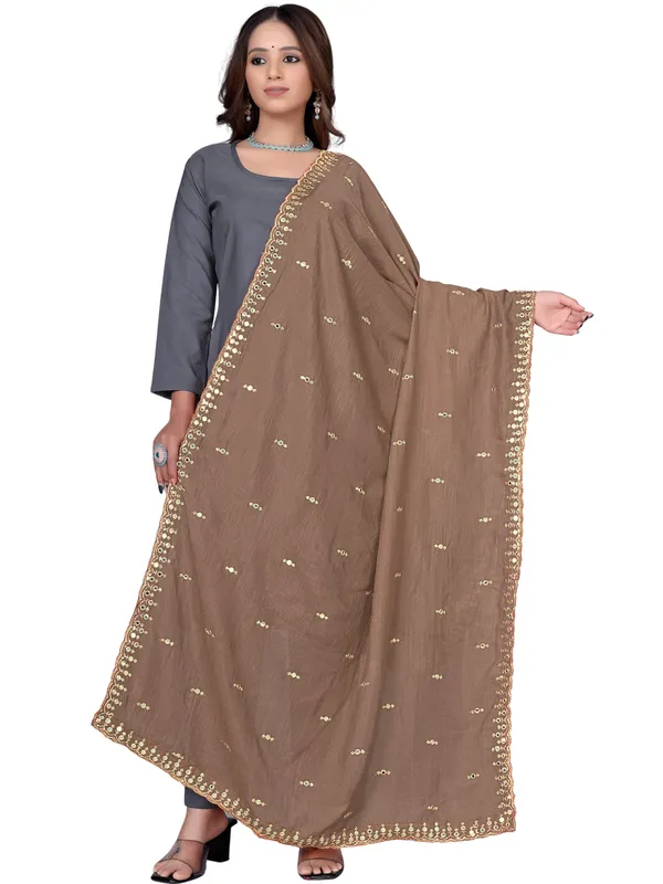 Vichitra_Art_Silk_Embroidered_Dupatta_With_Mirror_Work_Border_Brown
