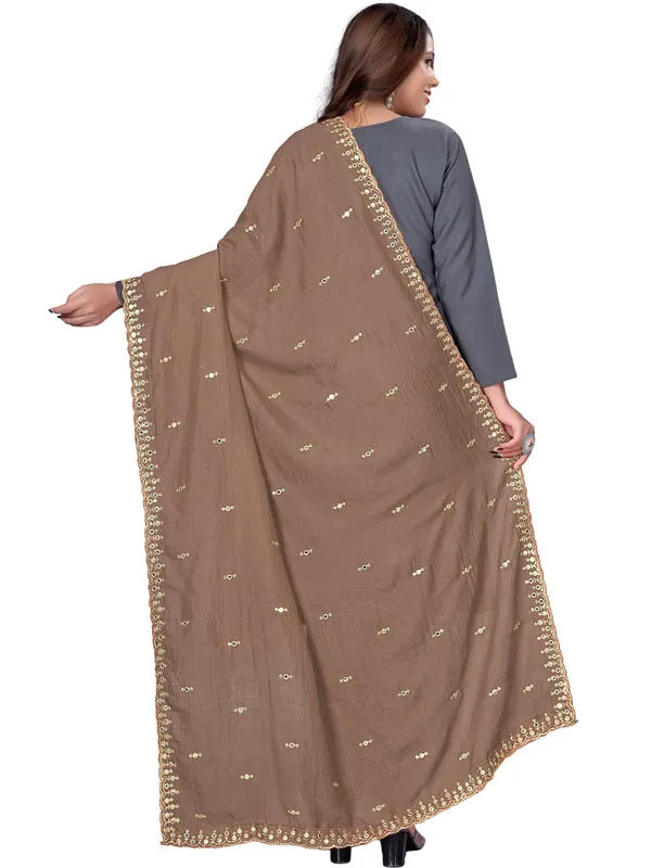 Vichitra_Art_Silk_Embroidered_Dupatta_With_Mirror_Work_Border_Brown