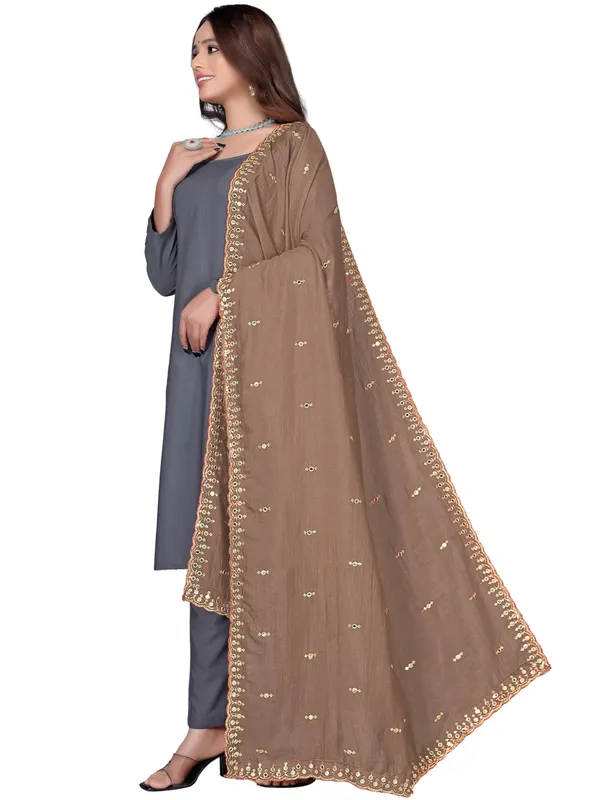 Vichitra_Art_Silk_Embroidered_Dupatta_With_Mirror_Work_Border_Brown