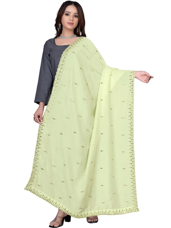 Vichitra_Art_Silk_Embroidered_Dupatta_With_Mirror_Work_Border_Cream
