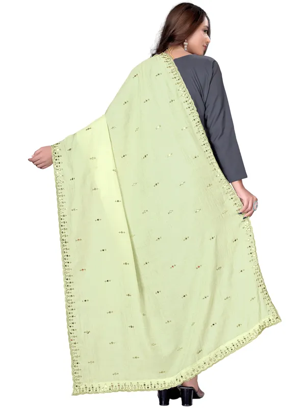 Vichitra_Art_Silk_Embroidered_Dupatta_With_Mirror_Work_Border_Cream
