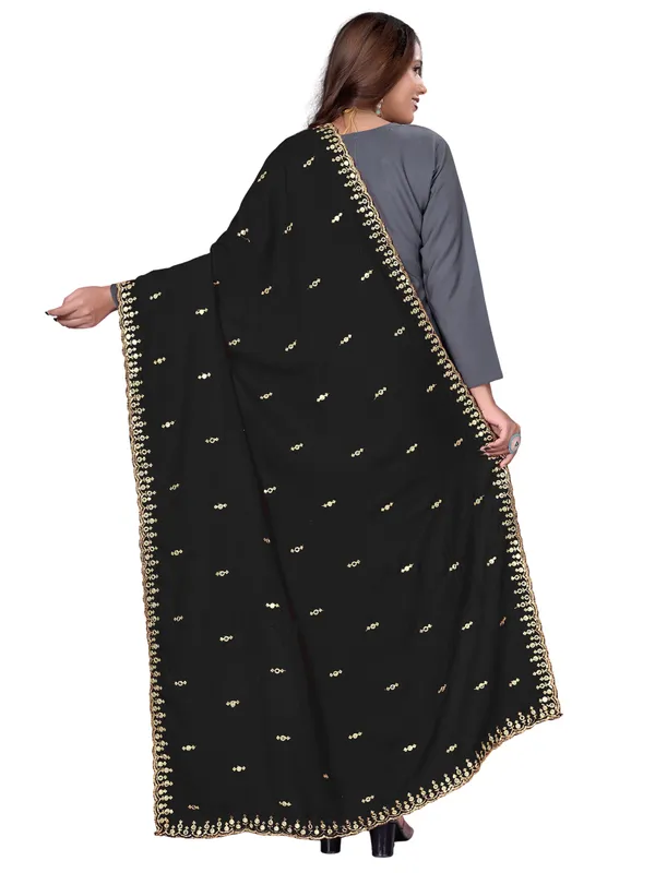 Vichitra_Art_Silk_Embroidered_Dupatta_With_Mirror_Work_Border_Black