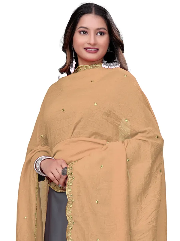 Vichitra_Art_Silk_Mirror_Work_Dupatta_With_Zari_Embroidery_Beige