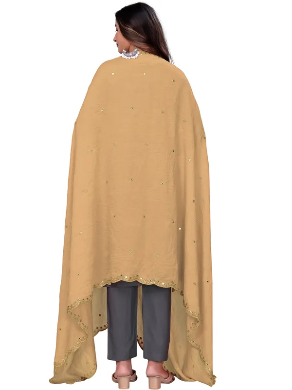 Vichitra_Art_Silk_Mirror_Work_Dupatta_With_Zari_Embroidery_Beige