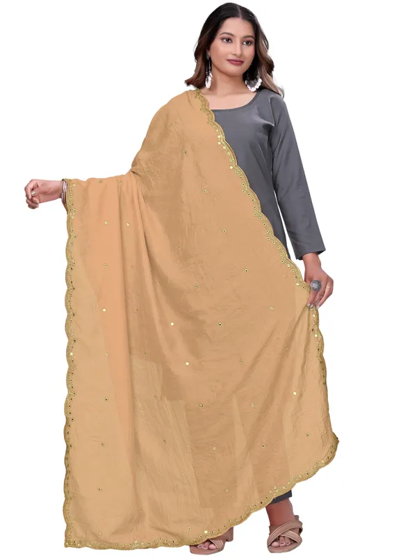 Vichitra_Art_Silk_Mirror_Work_Dupatta_With_Zari_Embroidery_Beige