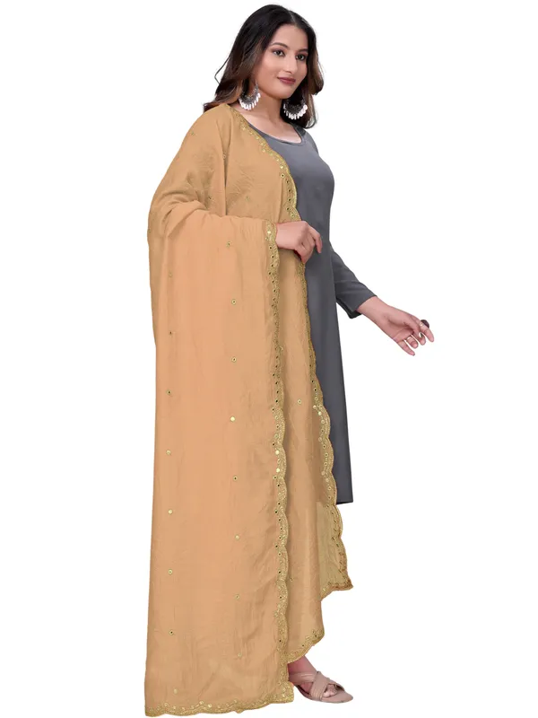 Vichitra_Art_Silk_Mirror_Work_Dupatta_With_Zari_Embroidery_Beige