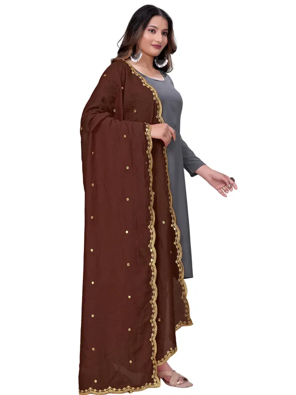Vichitra_Art_Silk_Mirror_Work_Dupatta_With_Zari_Embroidery_Brown