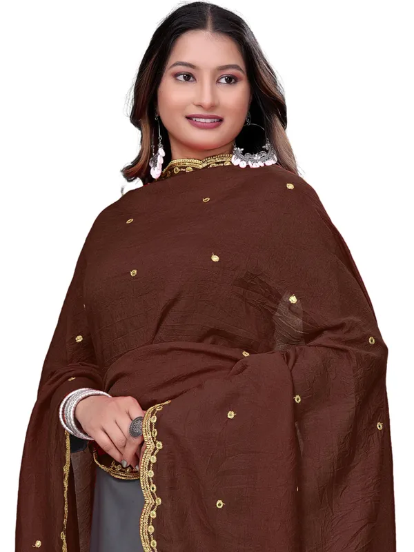Vichitra_Art_Silk_Mirror_Work_Dupatta_With_Zari_Embroidery_Brown