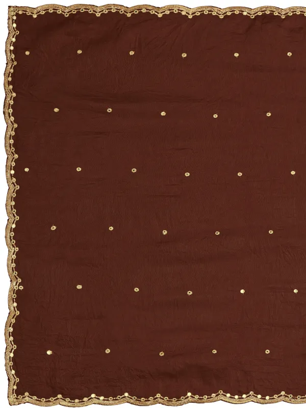 Vichitra_Art_Silk_Mirror_Work_Dupatta_With_Zari_Embroidery_Brown