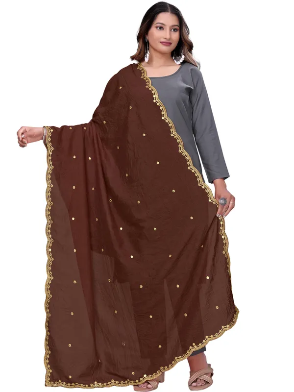 Vichitra_Art_Silk_Mirror_Work_Dupatta_With_Zari_Embroidery_Brown