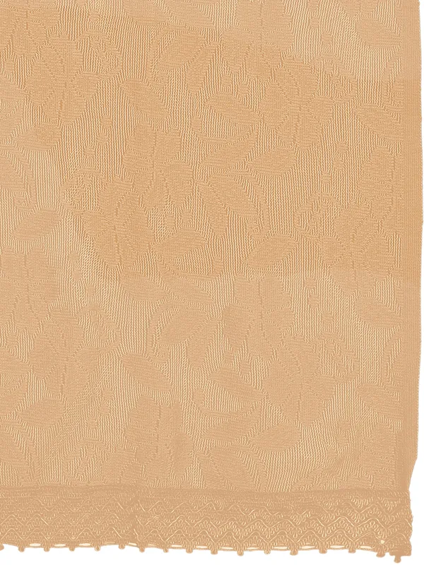 Amritsari_Net_Floral_Dupatta_With_Lace_Border_Beige