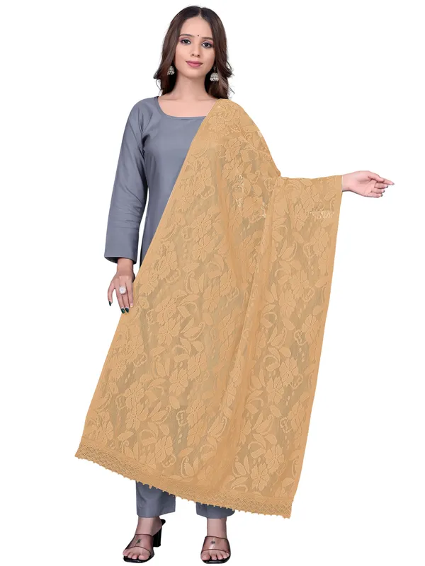 Amritsari_Net_Floral_Dupatta_With_Lace_Border_Beige
