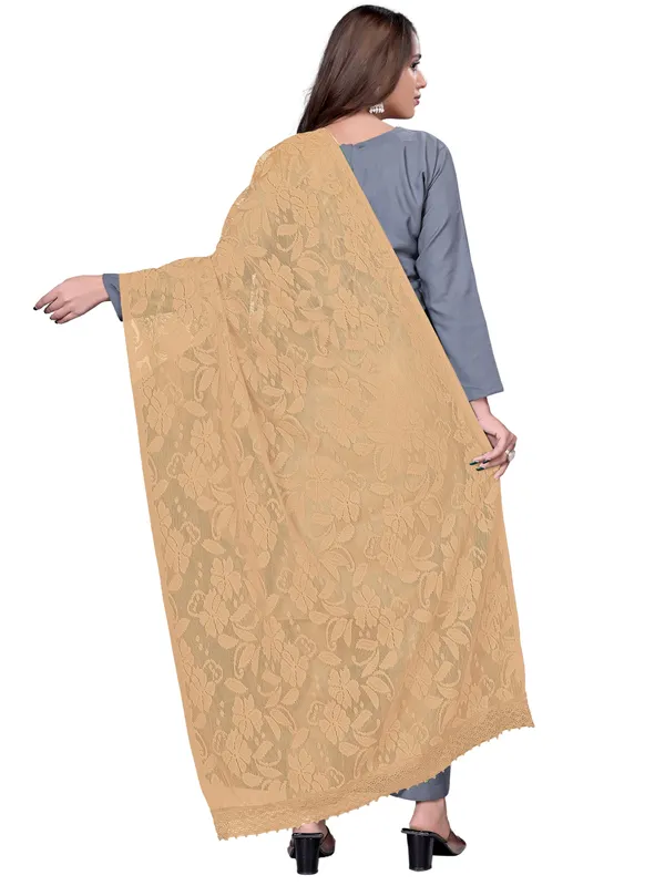 Amritsari_Net_Floral_Dupatta_With_Lace_Border_Beige