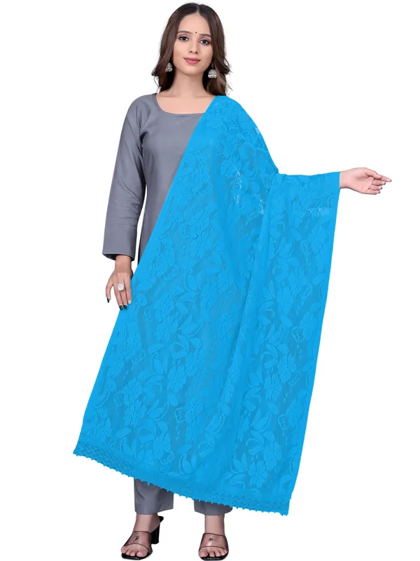 Amritsari_Net_Floral_Dupatta_With_Lace_Border_Sky_Blue