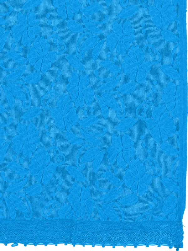 Amritsari_Net_Floral_Dupatta_With_Lace_Border_Sky_Blue