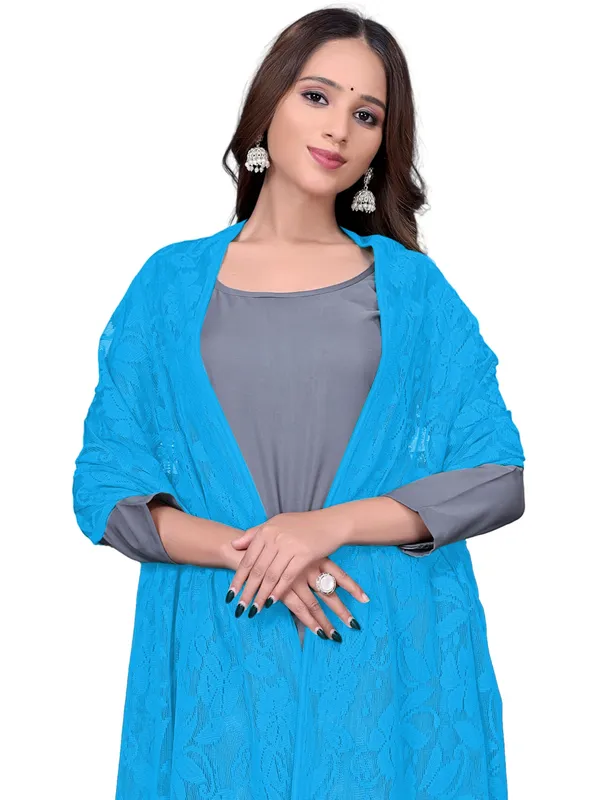 Amritsari_Net_Floral_Dupatta_With_Lace_Border_Sky_Blue