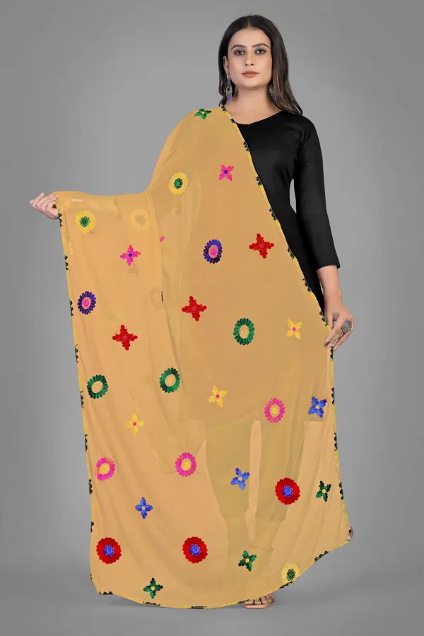 Nazmin_Multicolour_Floral_Embroidered_Dupatta_With_Lace_Beige