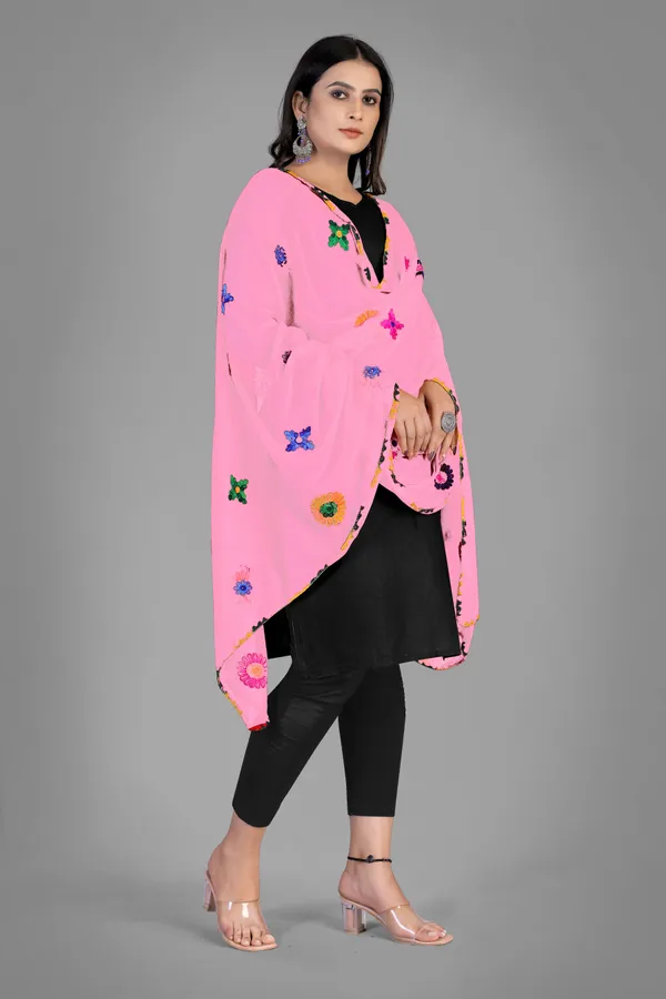 Nazmin_Multicolour_Floral_Embroidered_Dupatta_With_Lace_Light_Pink