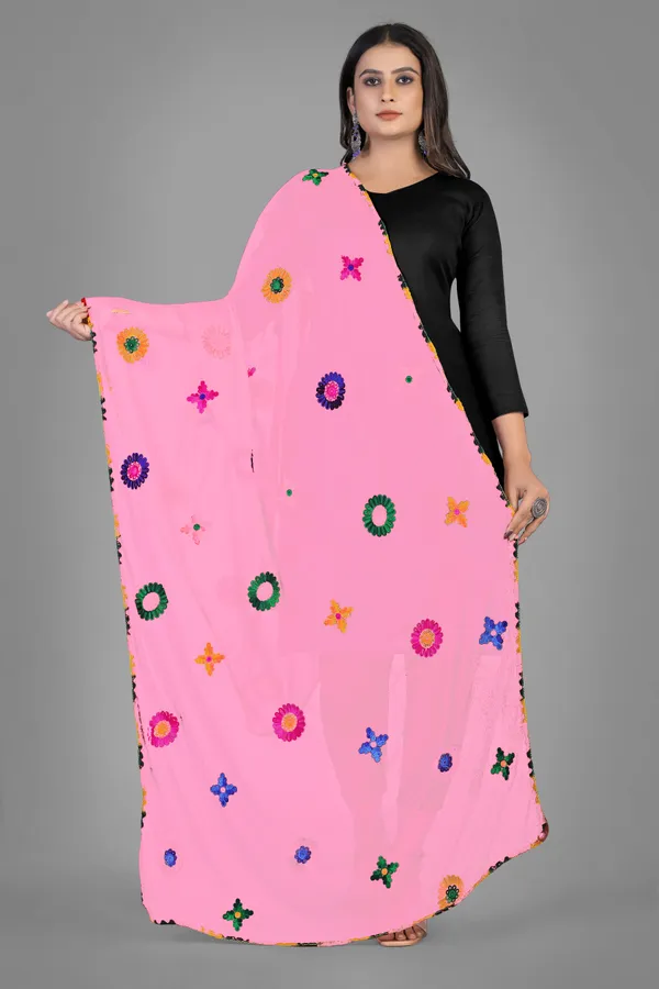 Nazmin_Multicolour_Floral_Embroidered_Dupatta_With_Lace_Light_Pink