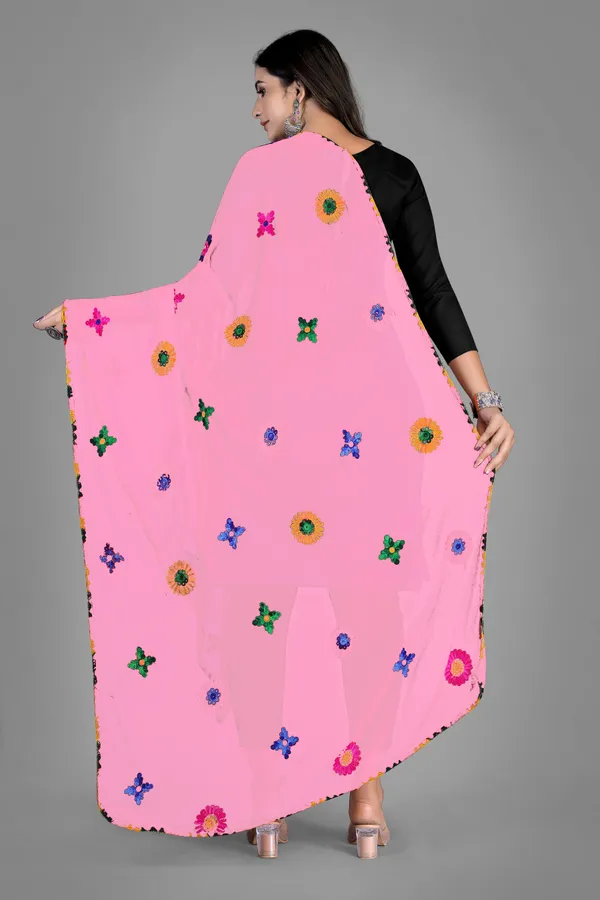 Nazmin_Multicolour_Floral_Embroidered_Dupatta_With_Lace_Light_Pink